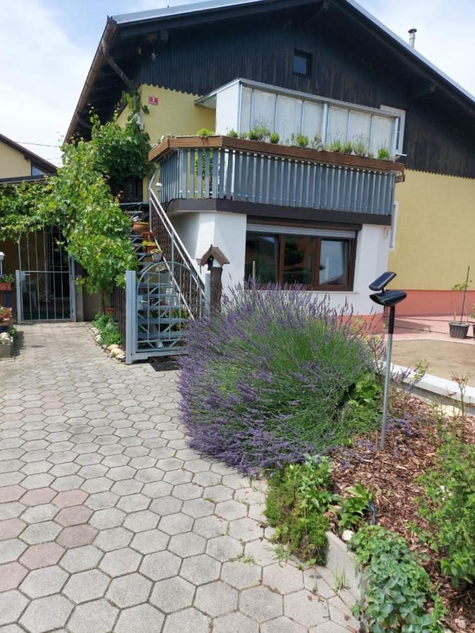 Apartma Reich Ptuj Exterior photo